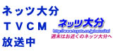 �������ގ剉TVCM������
